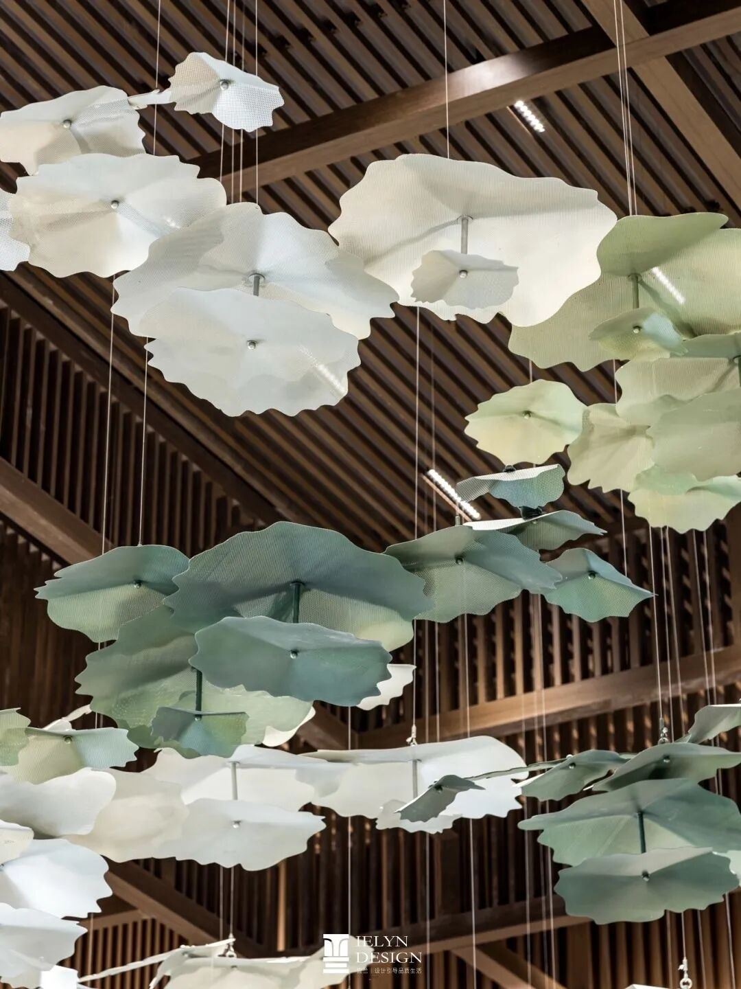 印象利川•云溪谷